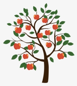 Fruit Tree Euclidean Vector - Diagram Of Apple Tree, HD Png Download, Transparent PNG
