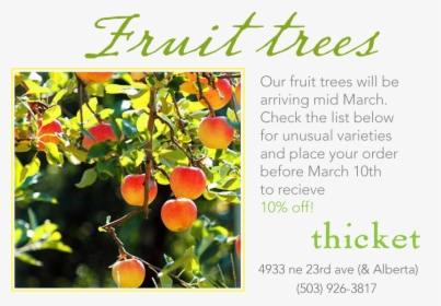 We Are Doing Our Spring Order For Fruit Trees - My Month Of Fruitfulness, HD Png Download, Transparent PNG