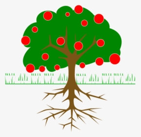 Tree With Fruit Clipart, HD Png Download, Transparent PNG