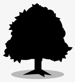 Fruit Tree Clip Art Branch Eastern Redbud - Miche Track Crankset, HD Png Download, Transparent PNG