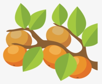 Vector Orange Tree Png, Transparent Png, Transparent PNG