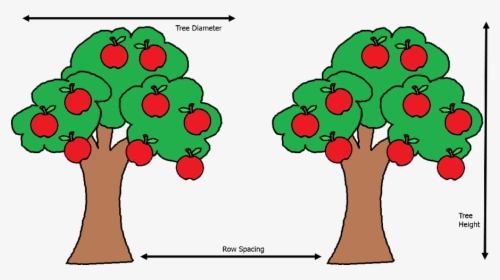 Uk Diseases Of Fruit - Apples On A Tree Clipart, HD Png Download, Transparent PNG