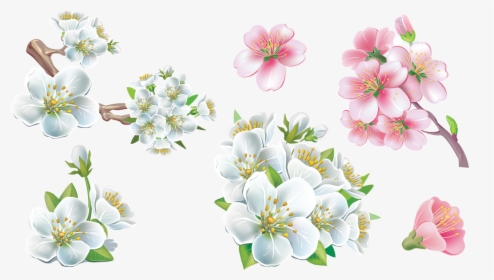 Ng Sims - Transparent Background Flower Frame Png, Png Download, Transparent PNG