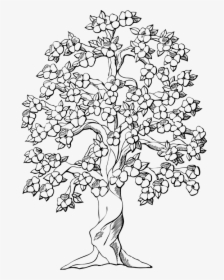 Flowering Tree, Cherry Blossoms, Apple Blossoms, Tree - Draw A Flower Tree, HD Png Download, Transparent PNG