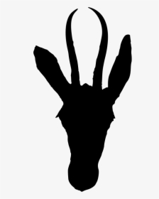 Springbok Head Silhouette - Springbok Head Clipart, HD Png Download, Transparent PNG
