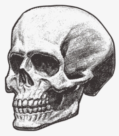 Skull, Pirate, Deadly, Death, Danger, Keys, Halloween - วาด หัว กระ โหล ก, HD Png Download, Transparent PNG