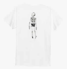 Sketch, HD Png Download, Transparent PNG