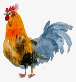 Watercolor Chicken Transparent Background, HD Png Download, Transparent PNG