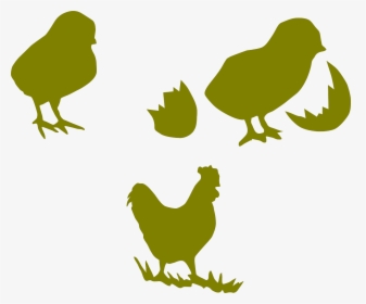 Chicken Chick Illustration Vector, HD Png Download, Transparent PNG
