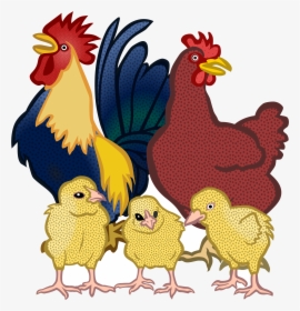 Chicken Chickens Vector Clipart Image Free Stock Photo - Chickens Clipart, HD Png Download, Transparent PNG