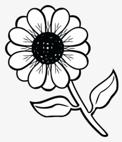 Transparent Flowers Clipart Black And White - Flower Black And White, HD Png Download, Transparent PNG