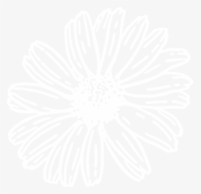 White Sun Flower Svg Clip Arts - Gerbera Daisy Clipart Black And White, HD Png Download, Transparent PNG