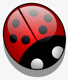 ladybug PNG image transparent image download, size: 1994x2247px