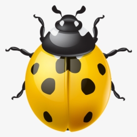 Ladybug Clipart Green Ladybug - Transparent Ladybug Png, Png Download, Transparent PNG