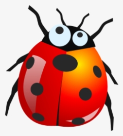 Lady Bug Png Free Download - Free Icons Download, Transparent Png, Transparent PNG