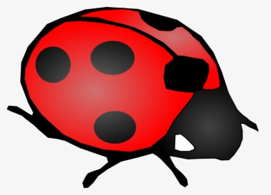 ladybug PNG image transparent image download, size: 556x549px