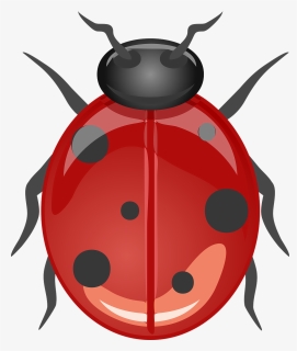 Ladybug, Beetle, Lucky Ladybug, Animal, Insect, Red - 10 Animals No Bone, HD Png Download, Transparent PNG