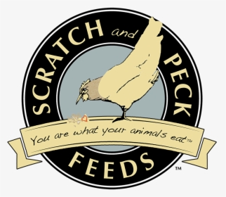 Scratch And Peck, HD Png Download, Transparent PNG