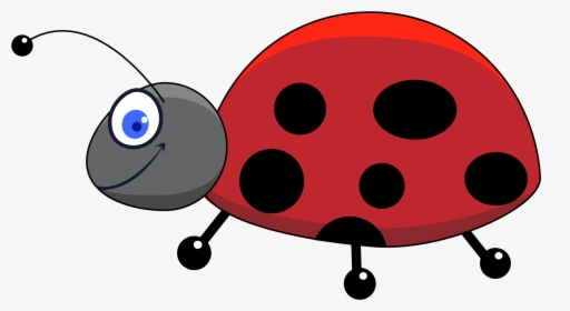 Transparent Ladybug Clipart - Ladybug Insect Drawing, HD Png Download, Transparent PNG