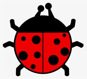 ladybug PNG image transparent image download, size: 2400x1882px