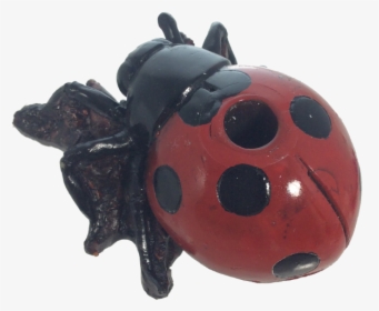 Lady Bug Handcrafted Pipe - Ladybug, HD Png Download, Transparent PNG
