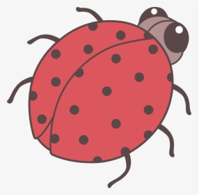Cute Red Ladybug Clip Art - Clipart Of Orange Color Objects, HD Png Download, Transparent PNG