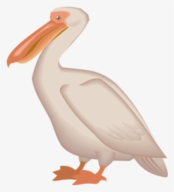 Download Pelican Png - Cross Stitch Pelican Pattern, Transparent Png, Transparent PNG