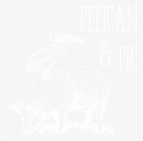 Pelican & Pig For Web - Brown Pelican, HD Png Download, Transparent PNG