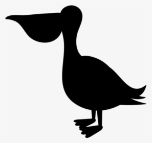 Baby Pelican Png Transparent Images - Duck, Png Download, Transparent PNG