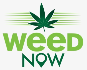 Weed Logo Png - Weed Now, Transparent Png, Transparent PNG