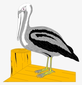 Pelican On Dock Svg Clip Arts - Clip Art, HD Png Download, Transparent PNG