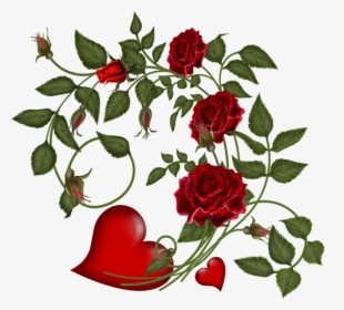 Valentines Day Flowers Vector, HD Png Download, Transparent PNG