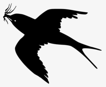 Free Png Download Cartoon Black Bird Flying Png Images - Simple Black Bird  Drawing, Transparent Png , Transparent Png Image - PNGitem