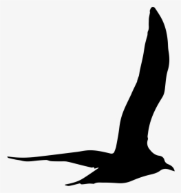 Gull Bird Flying Shape - Gaviota Silueta Png, Transparent Png, Transparent PNG