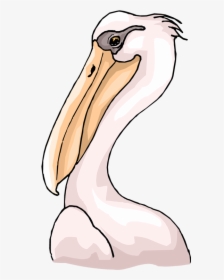 Transparent Pelicans Clipart - Pelican Head Clipart, HD Png Download, Transparent PNG