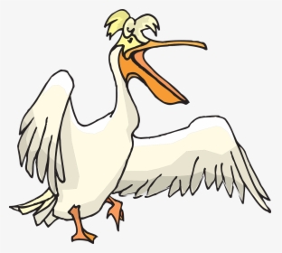 Pelican, Seabird, Pouch, Pelecanus Erythrorhynchos - Pelican Clipart Png, Transparent Png, Transparent PNG
