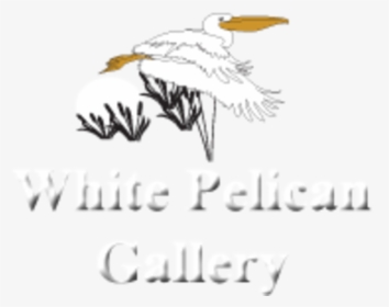 White Pelican Gallery Logo - Seabird, HD Png Download, Transparent PNG