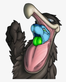 Jade Pelican Fun - Cartoon, HD Png Download, Transparent PNG