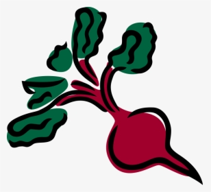 Clip Arts Related To - Beet Clipart Png, Transparent Png, Transparent PNG