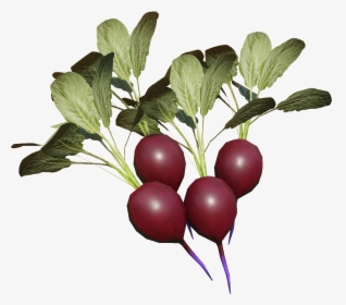 Miscreated Wiki - Beet Greens, HD Png Download, Transparent PNG