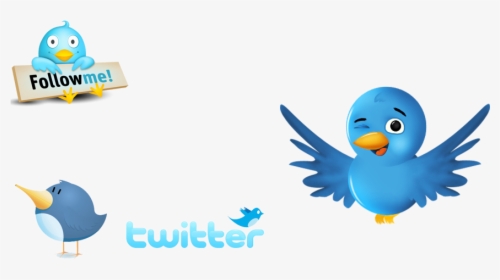 Cute Bird Transparent Background , Png Download - Follow Me On Twitter, Png Download, Transparent PNG