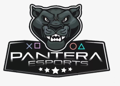 Transparent Pantera Png - Pantera E Sports, Png Download, Transparent PNG