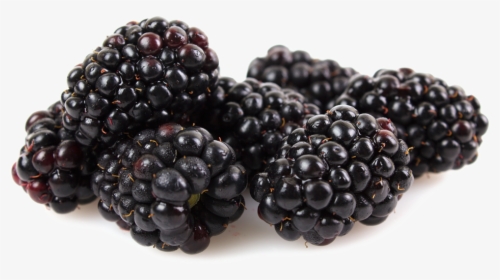 Boysenberry, HD Png Download, Transparent PNG