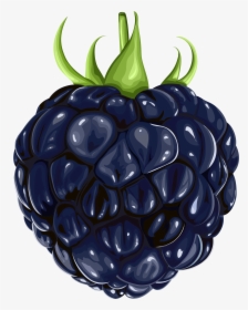 Berries Clipart Blackberry - Fruit Blackberry Png, Transparent Png, Transparent PNG