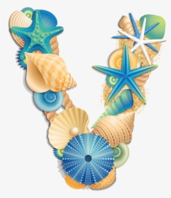 Seashell Letter Clipart, HD Png Download, Transparent PNG