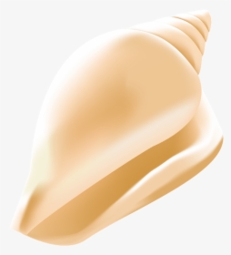 Transparent Conch Shell Clipart, HD Png Download, Transparent PNG