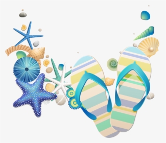 Seashells Png, Transparent Png, Transparent PNG