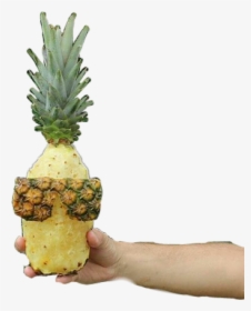 #piña #cara #mano #caradepiña - Pineapple, HD Png Download, Transparent PNG