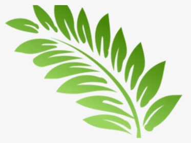 Fern Clipart Foliage - Clip Art Fern Leaves, HD Png Download, Transparent PNG