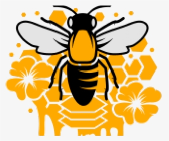 Bee With Crown - Honeybee, HD Png Download, Transparent PNG